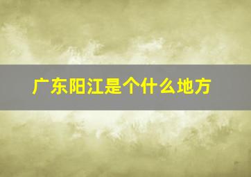 广东阳江是个什么地方