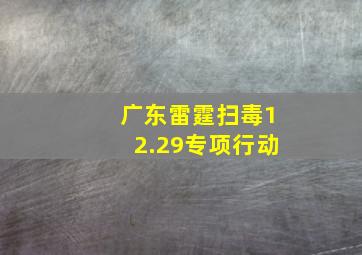 广东雷霆扫毒12.29专项行动