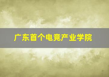 广东首个电竞产业学院