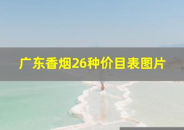 广东香烟26种价目表图片