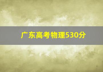 广东高考物理530分