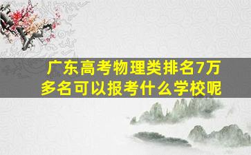 广东高考物理类排名7万多名可以报考什么学校呢