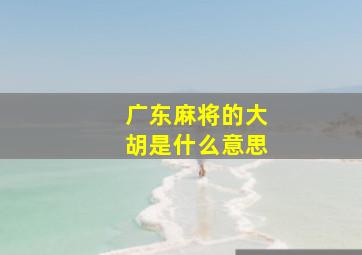 广东麻将的大胡是什么意思