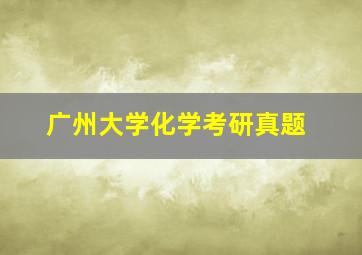 广州大学化学考研真题