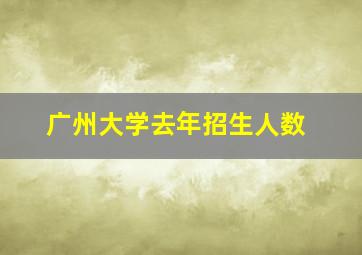 广州大学去年招生人数