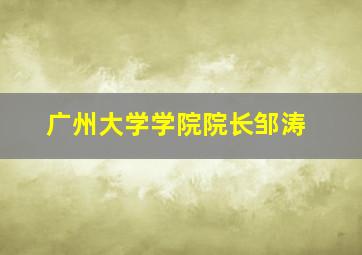 广州大学学院院长邹涛