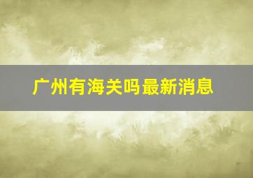 广州有海关吗最新消息