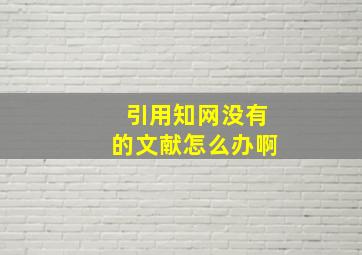 引用知网没有的文献怎么办啊