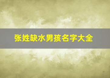 张姓缺水男孩名字大全