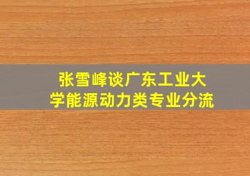 张雪峰谈广东工业大学能源动力类专业分流