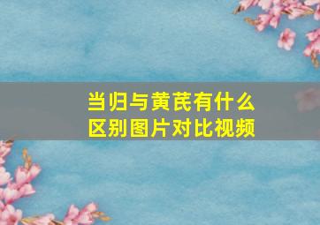 当归与黄芪有什么区别图片对比视频