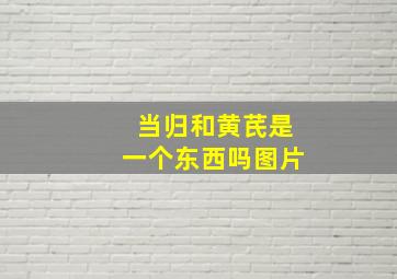 当归和黄芪是一个东西吗图片