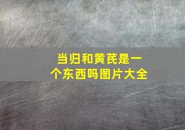 当归和黄芪是一个东西吗图片大全