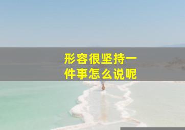 形容很坚持一件事怎么说呢