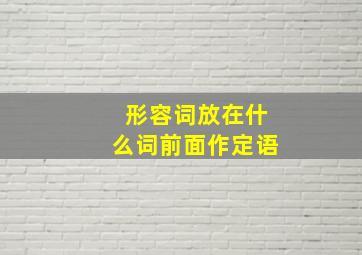 形容词放在什么词前面作定语