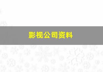 影视公司资料