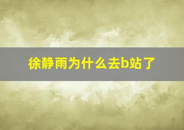 徐静雨为什么去b站了