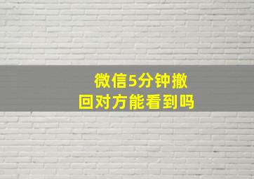 微信5分钟撤回对方能看到吗