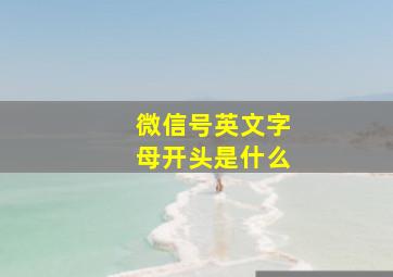 微信号英文字母开头是什么