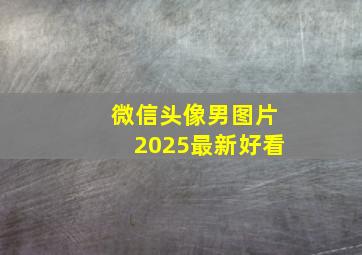 微信头像男图片2025最新好看