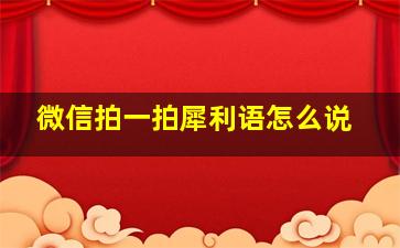 微信拍一拍犀利语怎么说