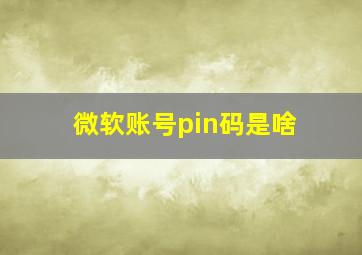 微软账号pin码是啥