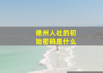 德州人社的初始密码是什么