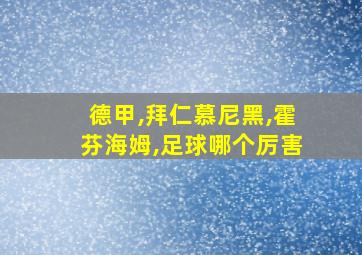 德甲,拜仁慕尼黑,霍芬海姆,足球哪个厉害