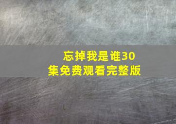 忘掉我是谁30集免费观看完整版