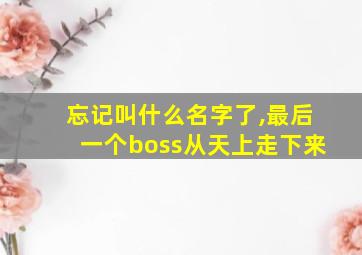 忘记叫什么名字了,最后一个boss从天上走下来