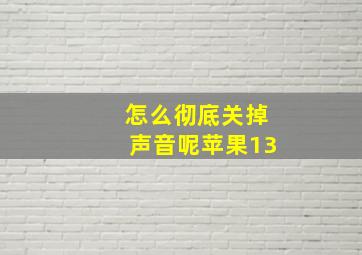 怎么彻底关掉声音呢苹果13