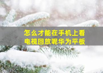 怎么才能在手机上看电视回放呢华为平板