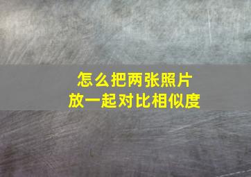 怎么把两张照片放一起对比相似度