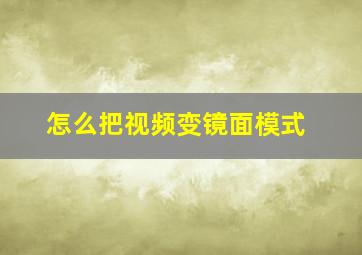 怎么把视频变镜面模式