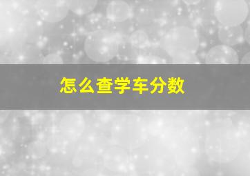 怎么查学车分数