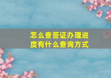 怎么查签证办理进度有什么查询方式