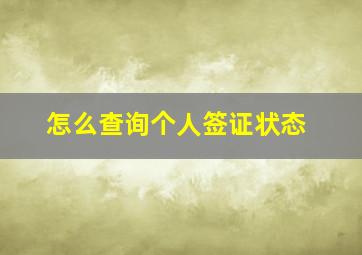 怎么查询个人签证状态