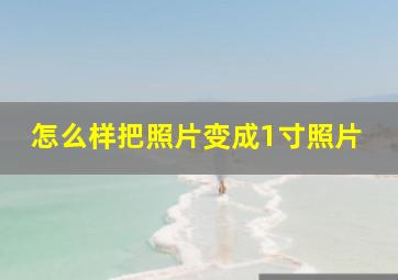 怎么样把照片变成1寸照片