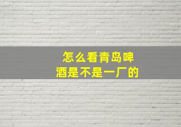 怎么看青岛啤酒是不是一厂的