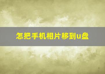 怎把手机相片移到u盘