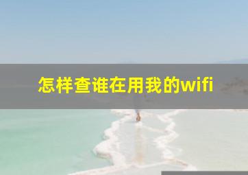 怎样查谁在用我的wifi