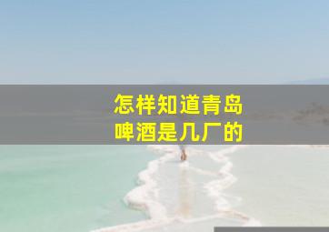 怎样知道青岛啤酒是几厂的