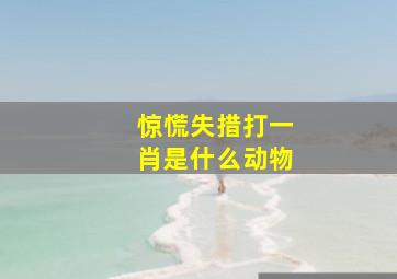 惊慌失措打一肖是什么动物