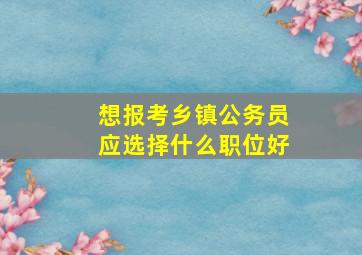 想报考乡镇公务员应选择什么职位好