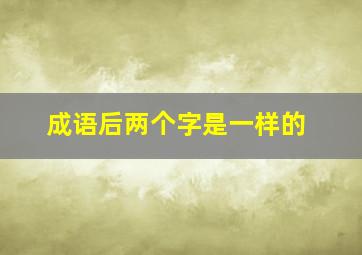 成语后两个字是一样的