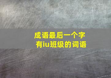 成语最后一个字有iu班级的词语