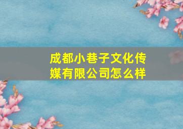 成都小巷子文化传媒有限公司怎么样