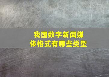 我国数字新闻媒体格式有哪些类型