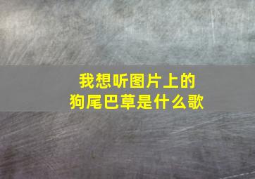 我想听图片上的狗尾巴草是什么歌