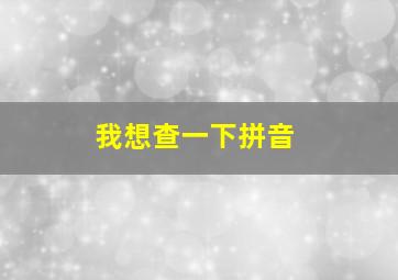 我想查一下拼音